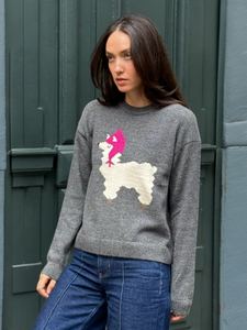 Alpaca design Sweater